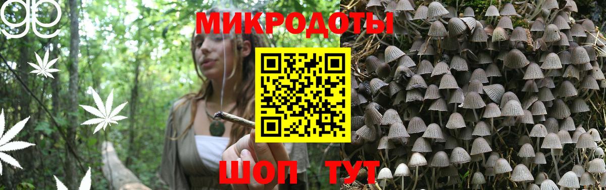 Псилоцибиновые грибы MAGIC MUSHROOMS Лесозаводск