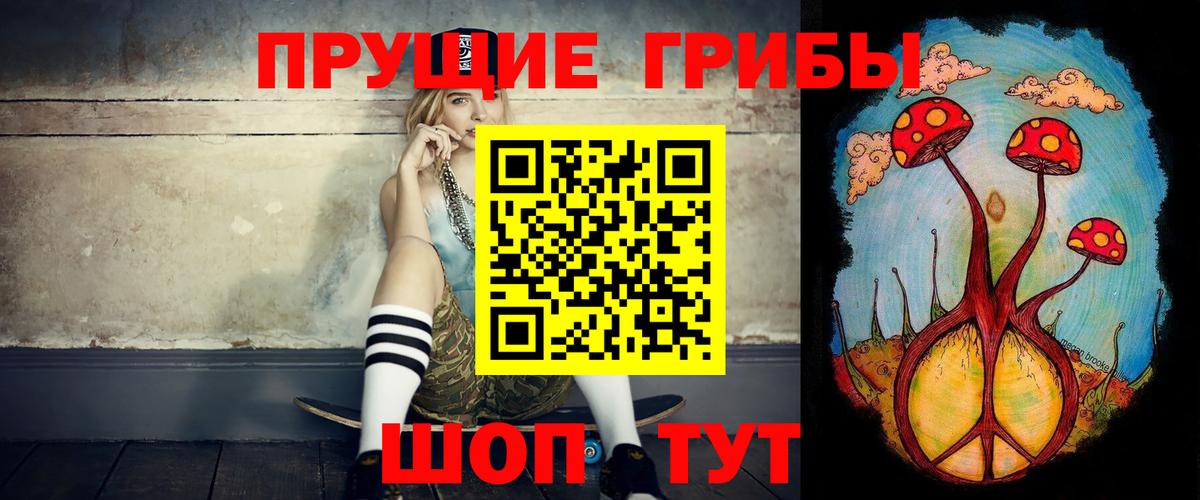 Лесозаводск  где найти   Вход с VPN  Псилоцибиновые грибы прущие грибы 